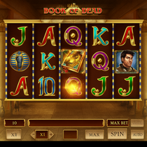 Coolzino - Book of Dead Slot Game - Free Spins